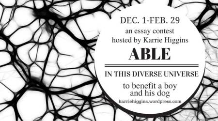 Dec.1-Feb. 29 an essay contest hosted by Karrie Higgins Able in this Diverse Universe to benefit a boy and his dog. These words appear in a white bubble against a background of white with a black web-like pattern. 